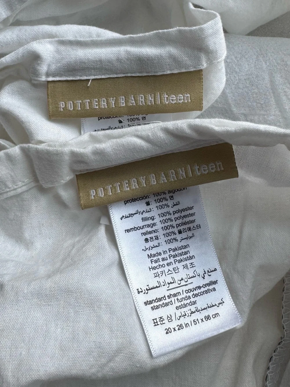 POTTERY BARN TEEN Steven Standard Pillow Shams Set of 2